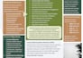prepare one page investor teaser